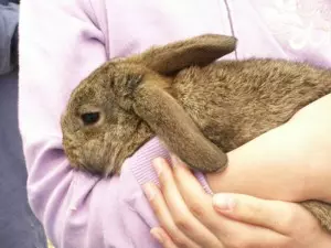 Kaninchen und Kinder
